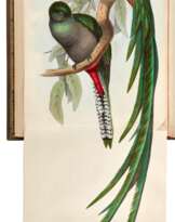A Monograph of the Trogonidae, [1836-] 1838, first edition, nineteenth-century green morocco gilt