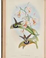 A Monograph of the Trochilidae or Family of Humming-Birds, London, 1849-87, 6 vols, green morocco gilt