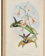 John Gould. A Monograph of the Trochilidae or Family of Humming-Birds, London, 1849-87, 6 vols, green morocco gilt