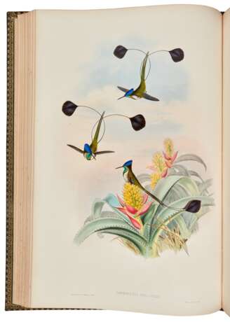 A Monograph of the Trochilidae or Family of Humming-Birds, London, 1849-87, 6 vols, green morocco gilt - фото 3