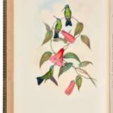 A Monograph of the Trochilidae or Family of Humming-Birds, London, 1849-87, 6 vols, green morocco gilt - фото 4