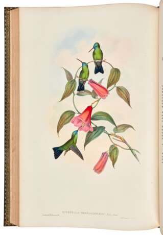 A Monograph of the Trochilidae or Family of Humming-Birds, London, 1849-87, 6 vols, green morocco gilt - Foto 4
