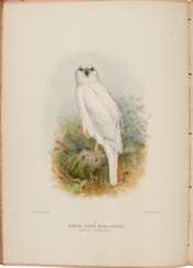 The birds of Australia [and related works by the same author], London, 1910-36