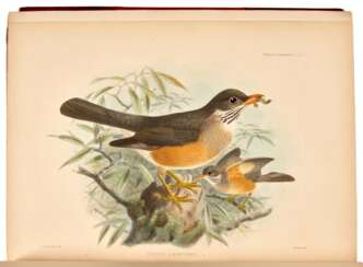 A monograph of the Turdidae, or family of thrushes, [1898-] 1902, 2 volumes, red three quarter morocco
