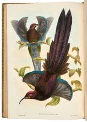 Monograph of the Paradiseidae, London, 1891-1898, contemporary green morocco gilt
