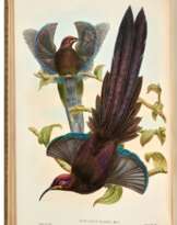 Monograph of the Paradiseidae, London, 1891-1898, contemporary green morocco gilt