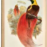 Monograph of the Paradiseidae, London, 1891-1898, contemporary green morocco gilt - photo 2