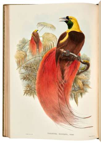 Monograph of the Paradiseidae, London, 1891-1898, contemporary green morocco gilt - Foto 2