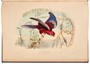 Les oiseaux les plus remarquables..., Paris and London, [n.d.], maroon silk boards