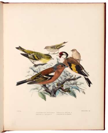 British Birds, London, 1894, 2 vols, contemporary calf gilt - Foto 1