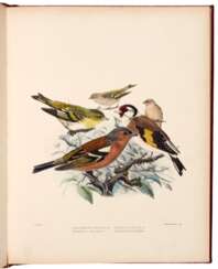 British Birds, London, 1894, 2 vols, contemporary calf gilt