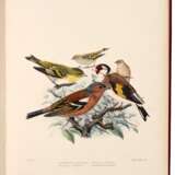 British Birds, London, 1894, 2 vols, contemporary calf gilt - photo 1