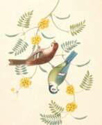 Джордж Брукшоу. Groups of fruit [Six birds; Groups of flowers]... second edition, 1819