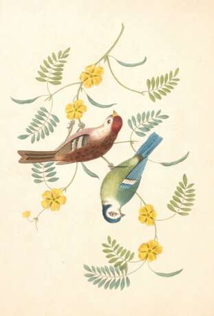 Groups of fruit [Six birds; Groups of flowers]... second edition, 1819 - photo 1