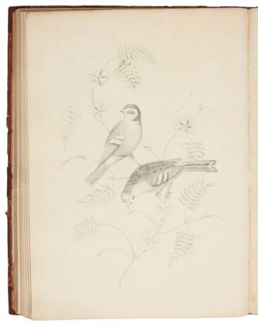 Groups of fruit [Six birds; Groups of flowers]... second edition, 1819 - photo 2