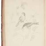 Groups of fruit [Six birds; Groups of flowers]... second edition, 1819 - Foto 2