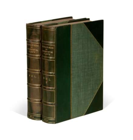 An encyclopaedia of useful and ornamental plants, 1852, 2 volumes - Foto 3