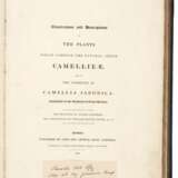 Illustrations and descriptions... Camellieae, London, 1831, Chandler's own copy - photo 2