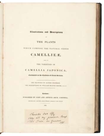 Illustrations and descriptions... Camellieae, London, 1831, Chandler's own copy - photo 2
