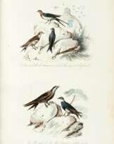 Keepsake d'histoire naturelle, [1839]