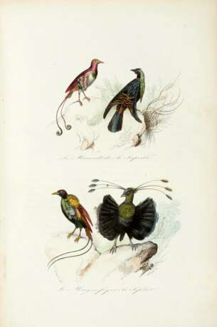 Keepsake d'histoire naturelle, [1839] - photo 2