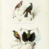Keepsake d'histoire naturelle, [1839] - photo 2