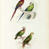Keepsake d'histoire naturelle, [1839] - Foto 3