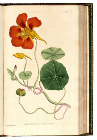 The Botanical Magazine [with Index and Companion], London, 1793-1948, 130 vols, green morocco gilt - Foto 2