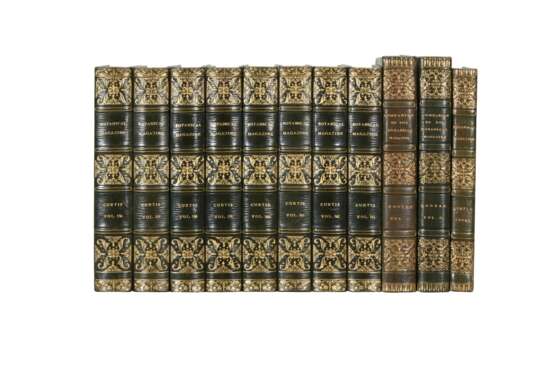 The Botanical Magazine [with Index and Companion], London, 1793-1948, 130 vols, green morocco gilt - photo 7
