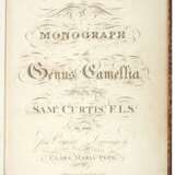 A monograph of the genus Camellia, London, 1819, half calf - photo 3
