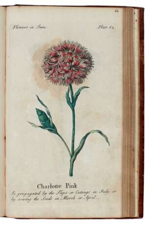 The compleat florist, London, 1747, coloured plates, contemporary calf gilt - фото 3