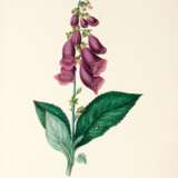 Flowers from nature, London, 1835, original maroon cloth - фото 2