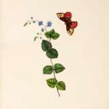 Flowers from nature, London, 1835, original maroon cloth - photo 3