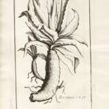 Histoire des plantes qui naissent en Provence, Aix, 1719, contemporary calf - photo 2