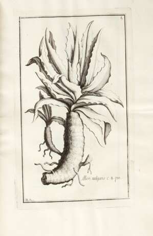 Histoire des plantes qui naissent en Provence, Aix, 1719, contemporary calf - photo 2