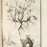 Histoire des plantes qui naissent en Provence, Aix [Paris], 1719, contemporary calf - Foto 2