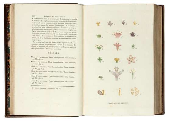 Plantes de la France, Paris, 1808-1809, 4 volumes, contemporary calf gilt - Foto 1