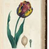 Plantes de la France, Paris, 1808-1809, 4 volumes, contemporary calf gilt - фото 3