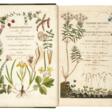 Termini botanici iconibus illustrati, Berlin, 1807, later half green morocco - Auction archive