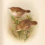 The British warblers, 1907-1914, 2 volumes - фото 2