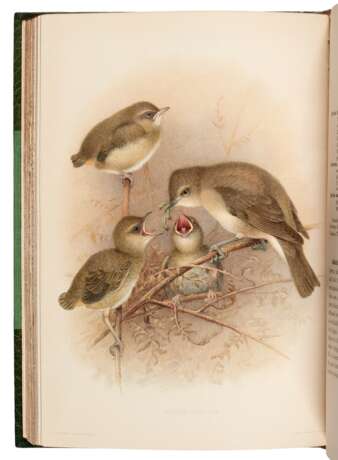 The British warblers, 1907-1914, 2 volumes - Foto 3