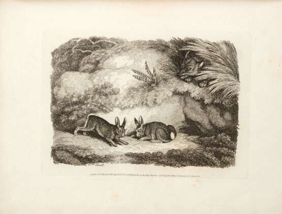 A new work of animals, London, 1811, contemporary red morocco gilt by Thomas Gosden - Foto 4