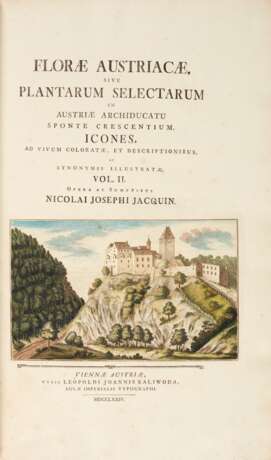 Florae austriacae, Vienna, 1773–78, 5 vols, contemporary half russia - photo 1
