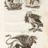 Historiae naturalis de avibus libri vi., Frankfurt, 1650 - Foto 3