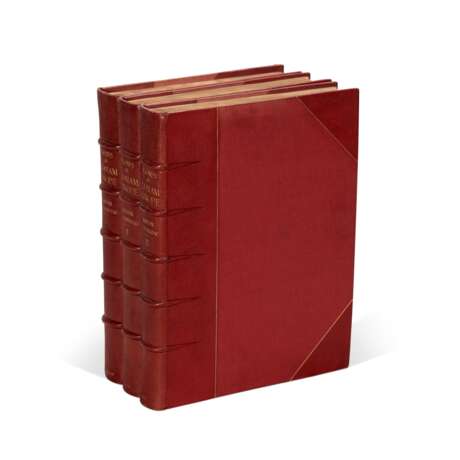 Icones ad floram Europae, 1866-1903, 3 volumes, contemporary red half morocco - Foto 4