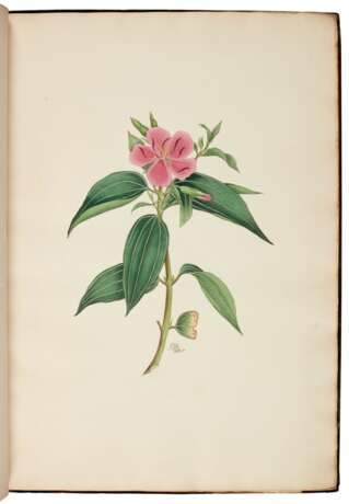 Icones plantarum sponte China nascentium, London, 1821, original black cloth rebacked - фото 2