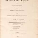 Gramina Britannica; or representations of British grasses, London, 1804, contemporary half calf - Foto 2