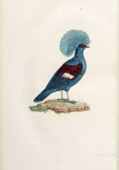 Les pigeons, Paris, [1808] -11, contemporary red morocco backed boards