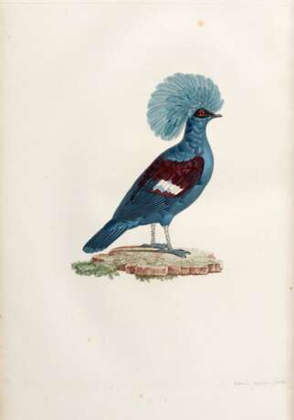 Les pigeons, Paris, [1808] -11, contemporary red morocco backed boards - photo 1