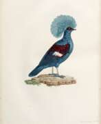 Полина Книп. Les pigeons, Paris, [1808] -11, contemporary red morocco backed boards